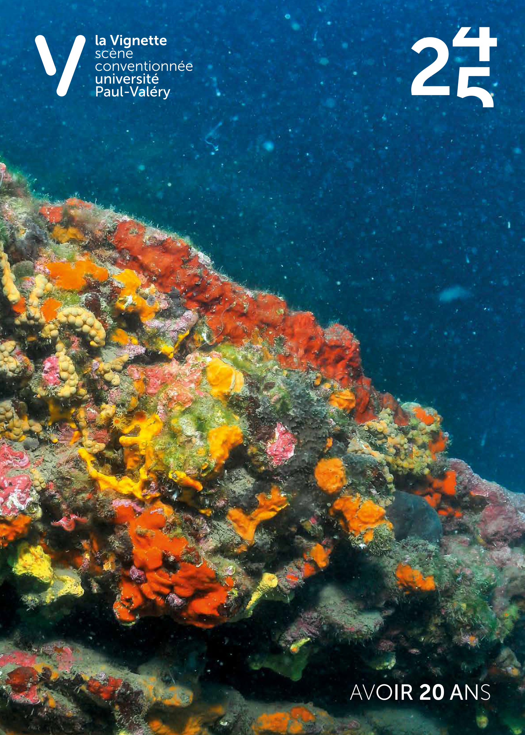 Visuel de saison 24-25