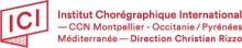 logo ici ccn